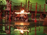 Limbo Show mit Feuer (109).JPG